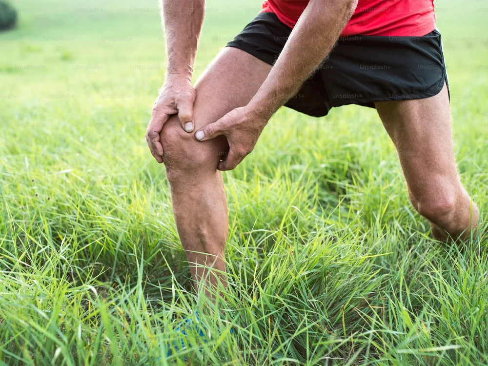 Knee